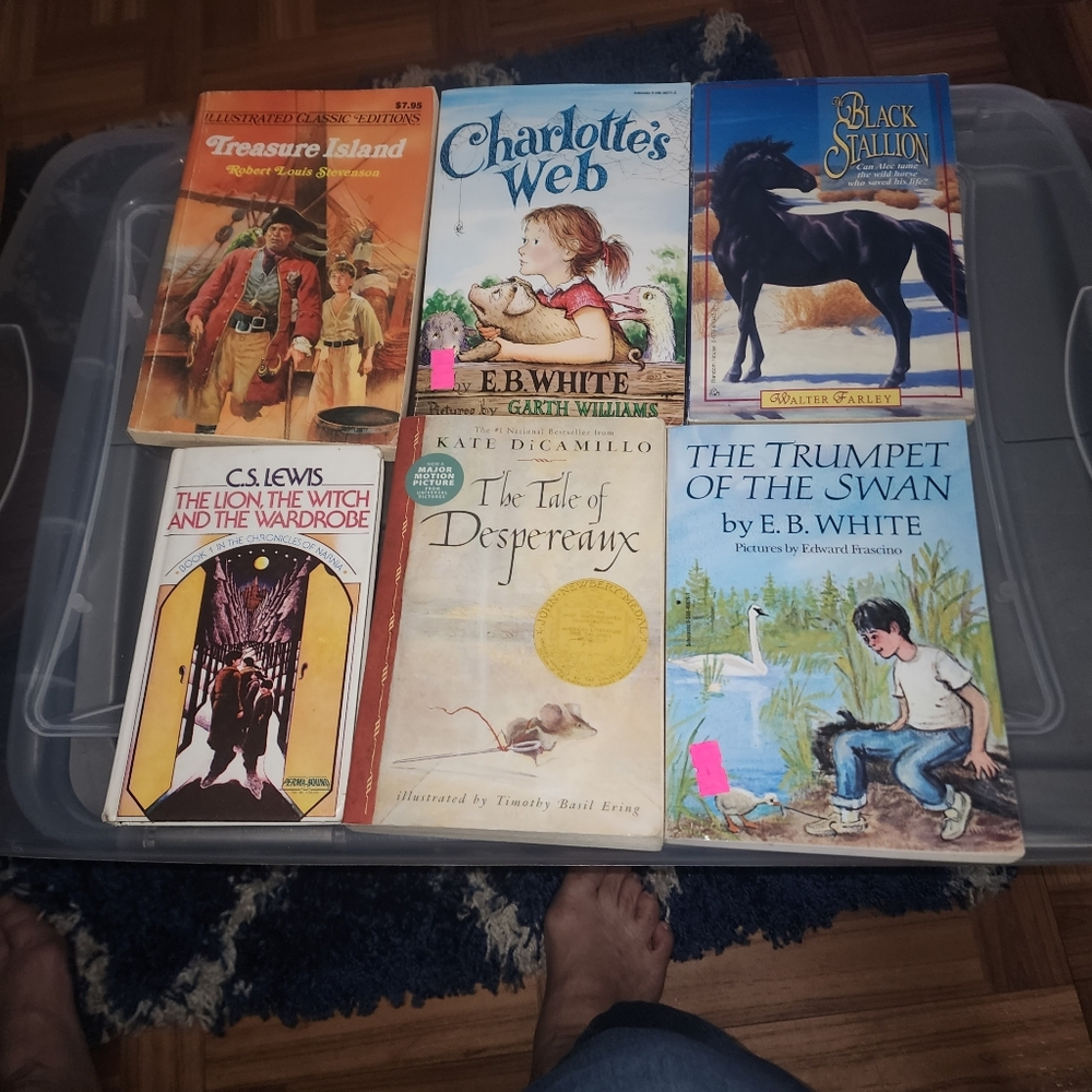 LOT OF 6 CLASSIC YOUTH TEEN STORY BOOKS CLASSIC